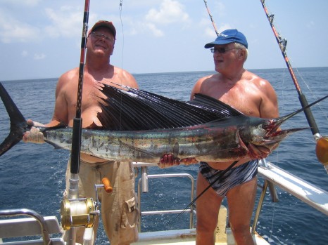 ...Sailfish is a pretty nice catch, world's fastest fish 110km/h.....